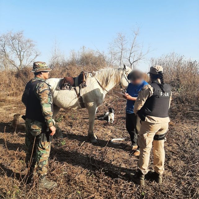 Video: detuvieron a tres hombres que iniciaron un incendio en el Delta del Paraná