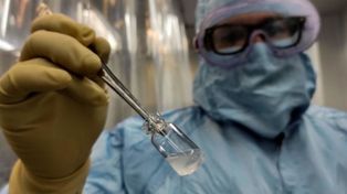 Logran generar anticuerpos de coronavirus que bloquean su ingreso a las células