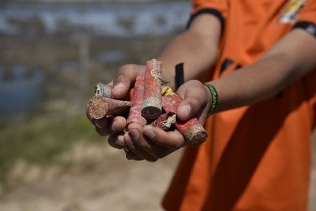 Añapiré: el paraíso de los flamencos rosados ya está cerca de ser reserva