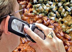 Los tumores son m&aacute;s frecuentes del lado que se usa el tel&eacute;fono celular