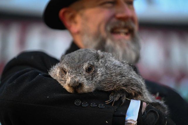 La marmota Phil predijo que seguirá el frío en Estados Unidos
