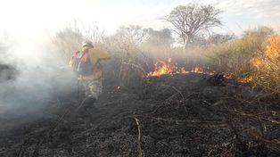 Más de 100 brigadistas continúan trabajando para sofocar los incendios en las Islas del Delta. Pudieron contener dos incendios y fue extinguido uno.