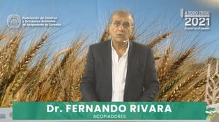 “Cada 1.000 toneladas adicionales que podamos sumar a la cosecha, entrarán 250.000 dólares más a las reservas del Banco Central, afirmó Rivara.