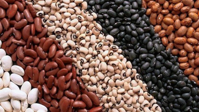 Las legumbres son importantes para una alimentación equilibrada