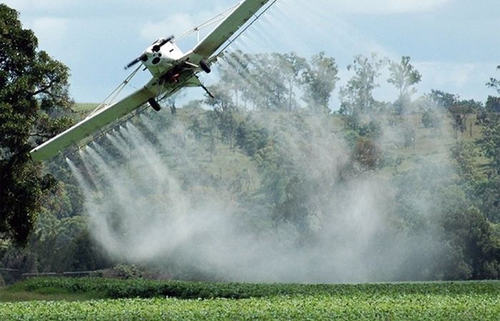 El algodón recibe glifosato y con esa fibra hacemos las gasas de hospitales