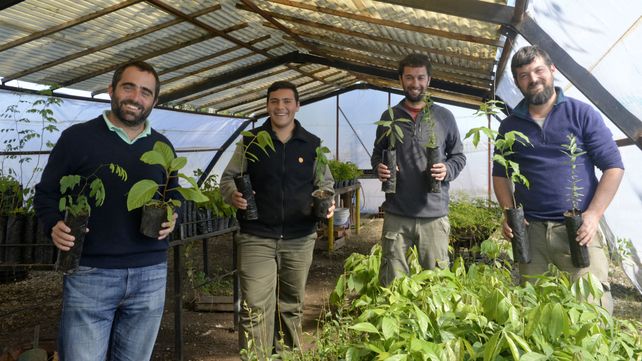 Nicolás Cordero (director de Parques y Paseos) junto a los viveristas Nicolás Ramos