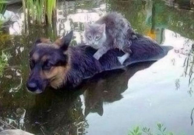 La historia de la tierna postal que emocionó a todos