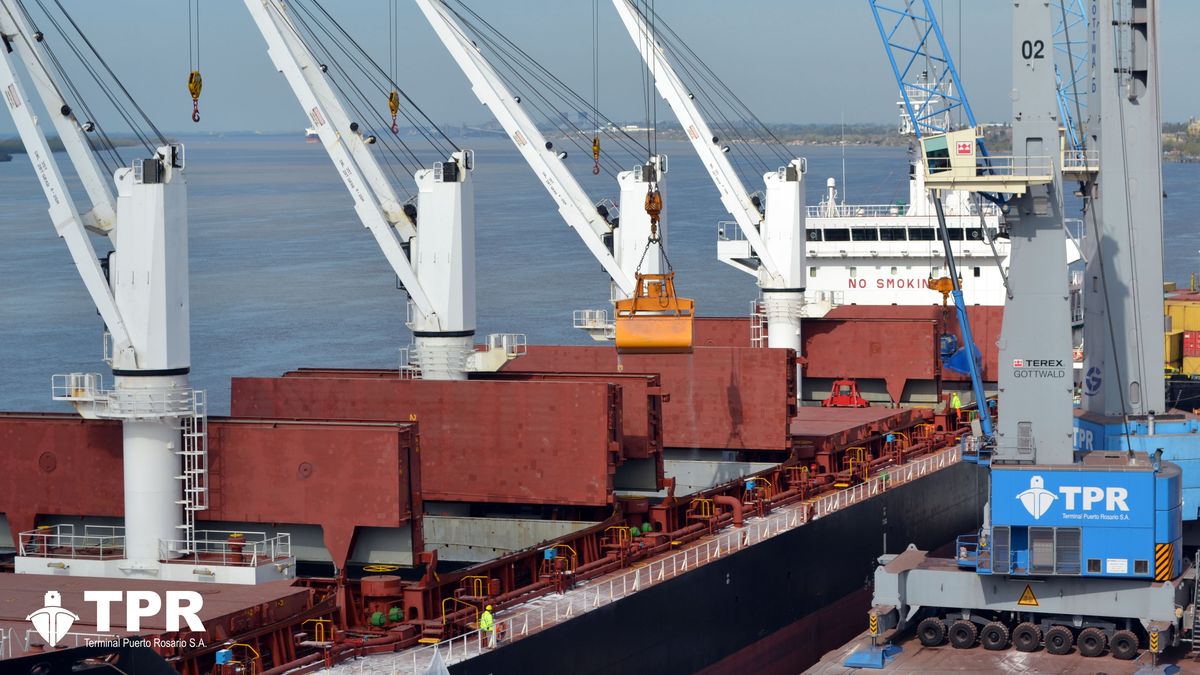 batería Pickering maximizar Crítico informe sobre fallas en el puerto de Rosario que afectan al control  de cargas