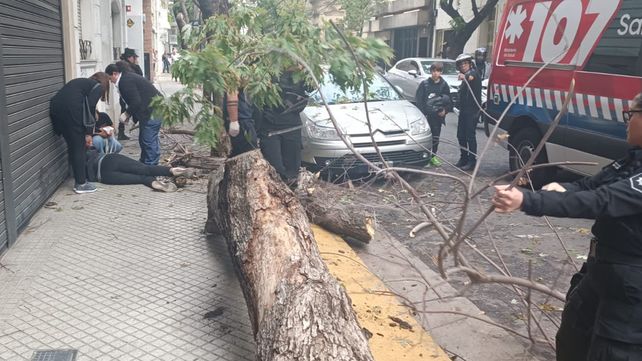 La mujer golpeada este martes por la caída de un árbol en Moreno al 300 fue atendida por personal policial y del Sies.