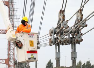 Tras tareas de mantenimiento, revelaron el estado del Puente Colgante