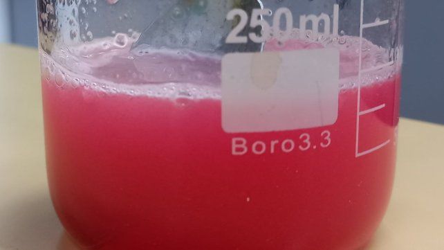 UNL: alimento en formato de gelatina