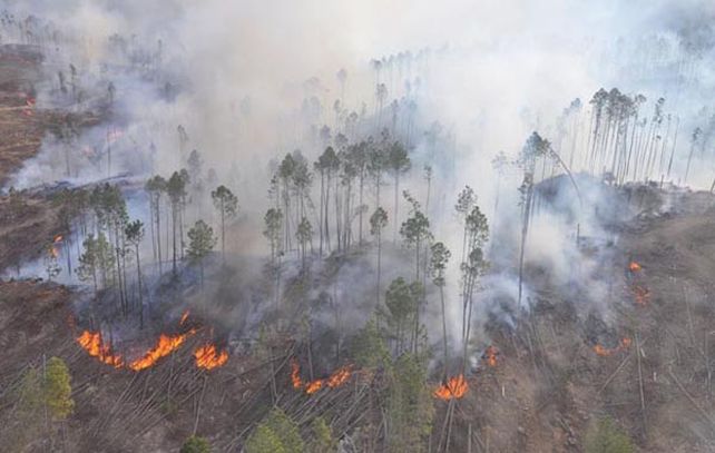 El incendio iniciado el viernes en Sol de Mayo