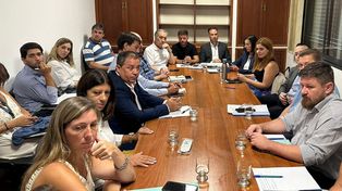 Los legisladores provinciales, integrantes de las comisiones de Seguridad de la Legislatura, se reunieron por la violencia urbana.&nbsp;