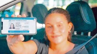 Ya se puede circular con la tarjeta verde digital en el celular