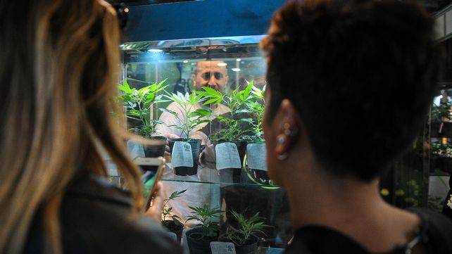 La tercera edición de la Expo Cannabis desbordó La Rural porteña