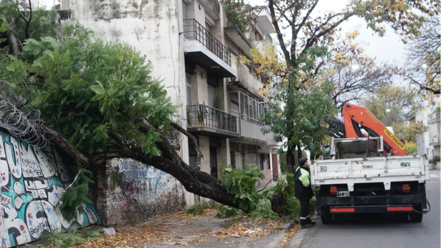 Rige alerta amarillo por fuertes vientos. Personal municipal trabaja en Sarmiento al 1700