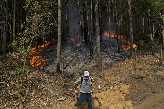 Imparables. Las llamas han consumido 480 mil hectáreas.