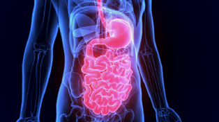 Endoscopía digestiva: diagnóstico