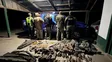 Caza ilegal en el norte provincial: interceptaron a guías que llevaban turistas franceses con escopetas y patos silvestres muertos