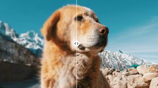 Airush en el navegador: Image Enhancer y Object Remover en airbrush.com