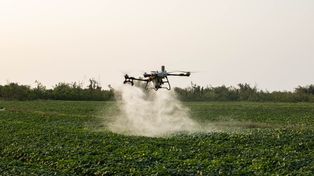 Año Niño y drones: una solución para entrar al lote