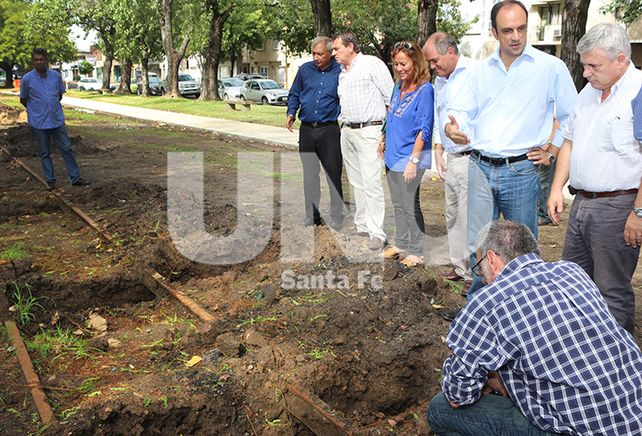 Tren Urbano: avanza la construcción de apeaderos y el reacondicionamiento de vías