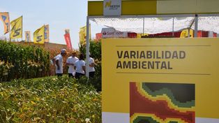 El productor que se acerque al plot del semillero oficial de Expoagro será acompañado por el equipo técnico de la marca y de la RED.IN por un recorrido por las distintas expresiones del uso de la tecnología.