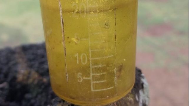 Bendita lluvia. El pluviómetro registró más de 20 milímetros en un campo de Gálvez
