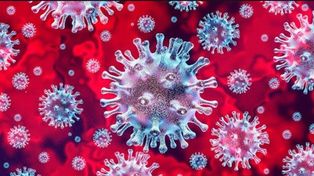 Un grupo de científicos logró neutralizar el coronavirus en menos de un segundo