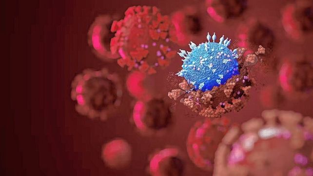 Ya circula la subvariante ómicron BA.5 en Santa Fe