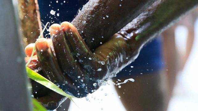 América se ve amenazada por cuatro emergencias sanitarias
