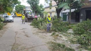 El  Ejército se suma a los trabajos del municipio por el temporal