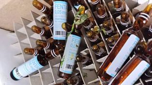 Santa Fe logró la media sanción para controlar el camino de los medicamentos