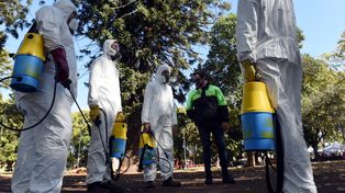 Creen que la aparición de una vacuna no frenará el actual brote de dengue