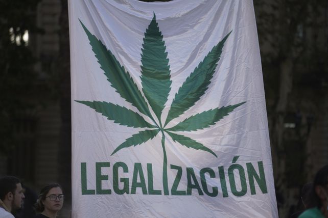Marcha de la marihuana: una movilización para defender derechos