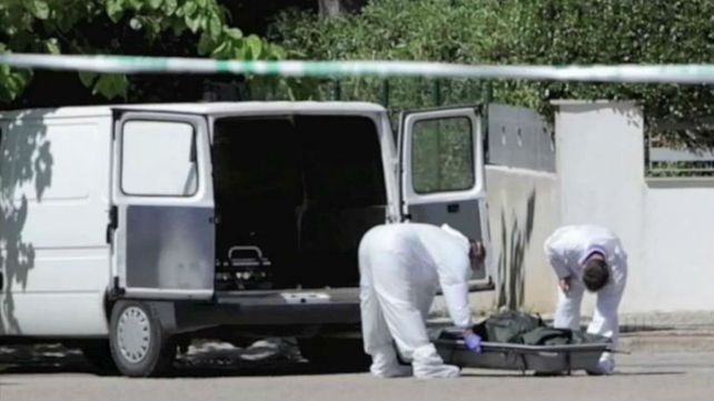 Los servicios municipales recogieron el cadáver del animal.