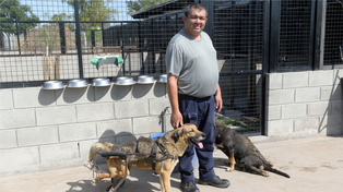 El Imusa atiende 6 mil consultas al año, pero para las protectoras animales no alcanza.&nbsp;