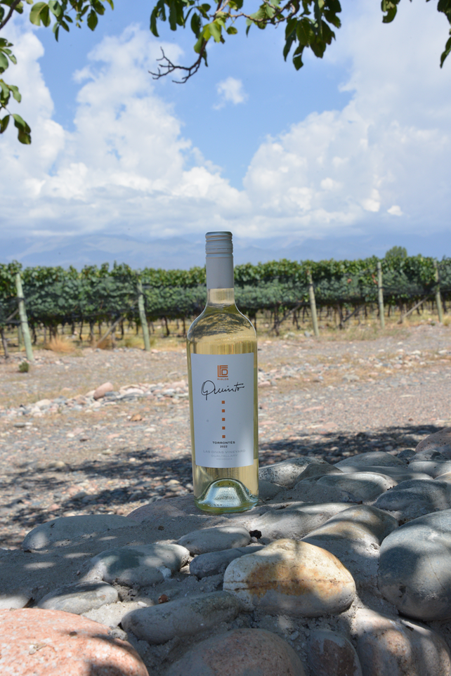 Día del Sauvignon Blanc: frescura que se celebra en todo el mundo