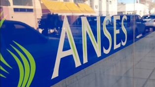  La Anses oficializó la suspensión del trámite de supervivencia-fe de vida hasta el 31 de marzo