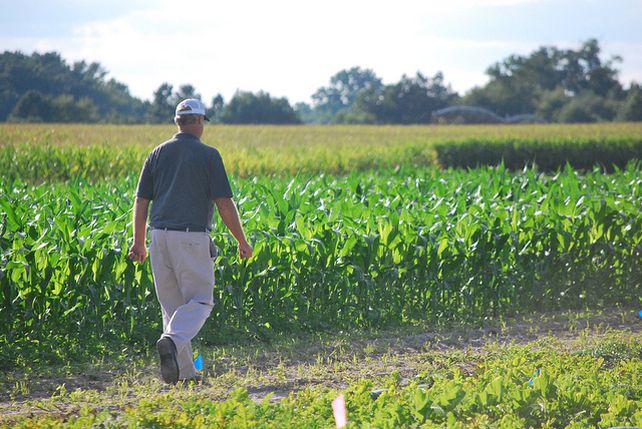 Implementan nueva asistencia financiera para productores frutihortícolas