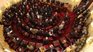 Es ley el procedimiento especial para los casos de flagrancia