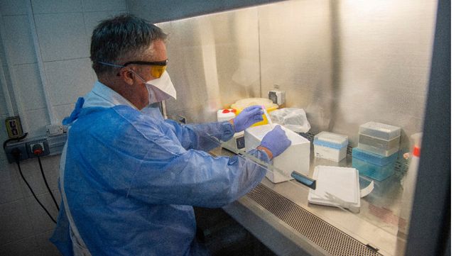 Rosario registró este martes 437 nuevos casos de coronavirus.&nbsp;