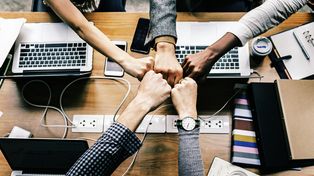 Los sectores de tecnología de la información, la industria automotriz y la ingeniería en lo más alto de las preferencias