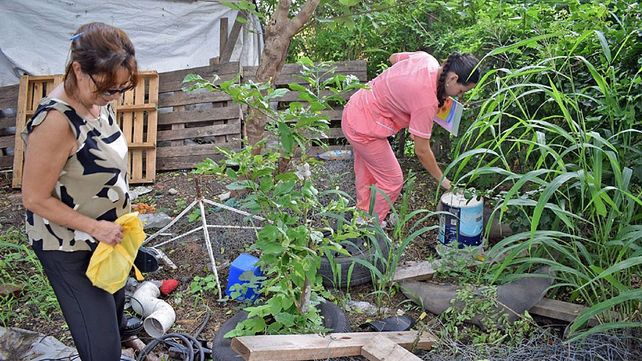 El Ministerio de Salud recuerda la importancia de la descacharrización para combatir el dengue.&nbsp;