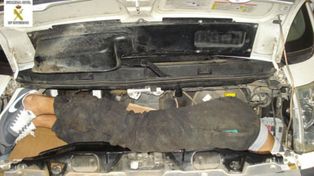 Polizón se metió bajo un capó para entrar a Europa