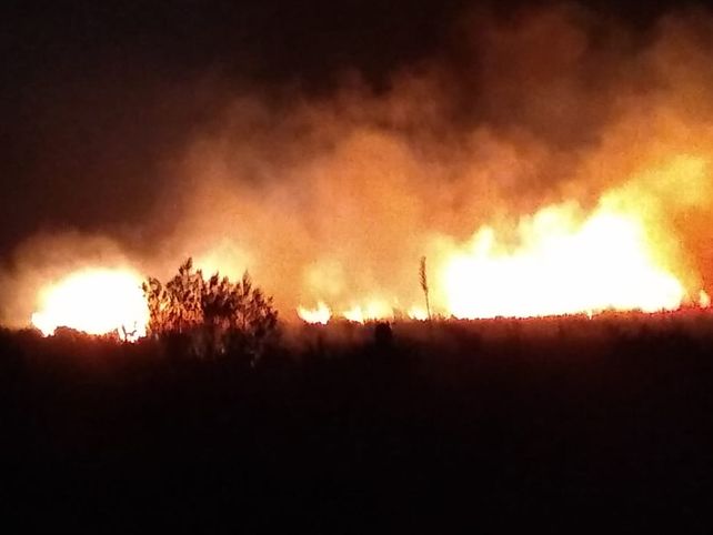 Un gran incendio se desató en la zona de countries en Santo Tomé