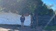 Allanamientos en Villaguay: secuestraron cocaína, marihuana, dinero y una moto
