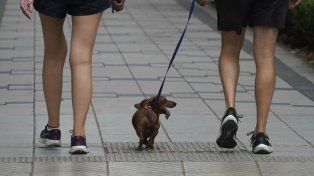 El tiempo en Rosario: lunes con nubes y la máxima en leve aumento