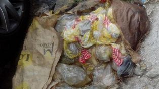 Basura orgánica provoca malestar en vecinos de barrio Sur