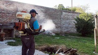 Entre agosto y enero, se han confirmado 33 casos positivos de dengue y hay 17 en estudio. La mayoría son importados. Salud articula bloqueos en municipios&nbsp;